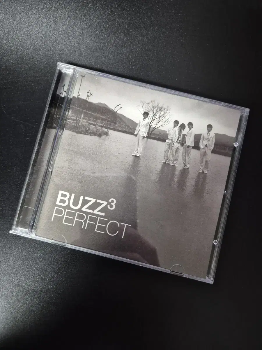 버즈 3집 BUZZ PERFECT CD